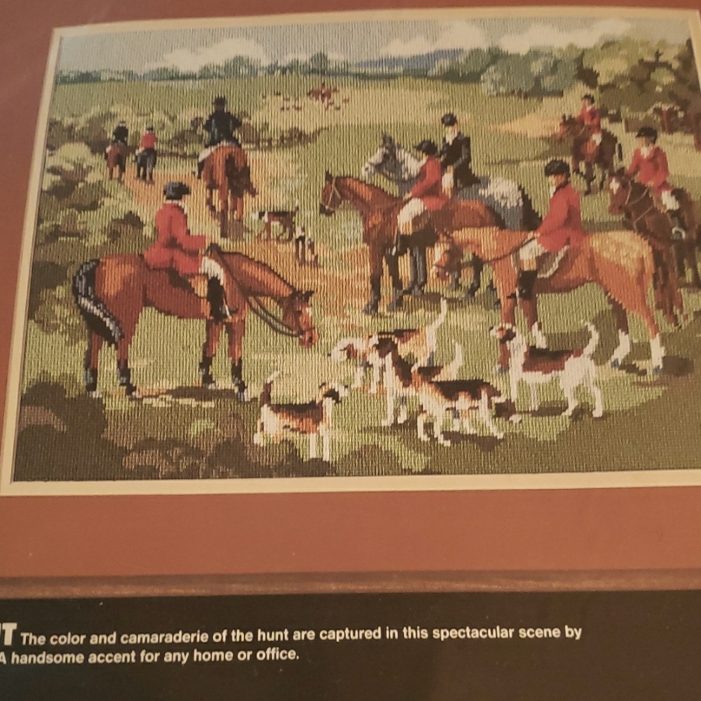 Needlepoint pillow kit/picture when completed.